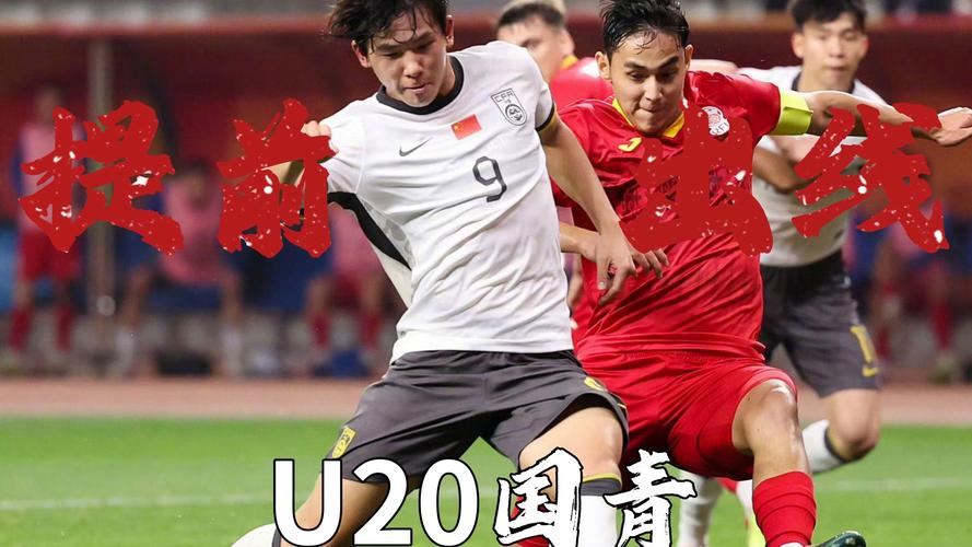 惊人真相：国足30年没花国家一分钱？事实究竟如何？