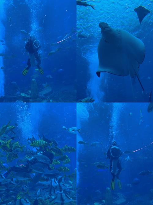 亚特兰蒂斯人是否还存活?探秘传说中的海底王国