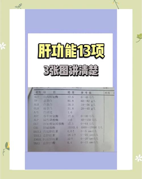 想做肝功能检查？先了解有哪些必检项目