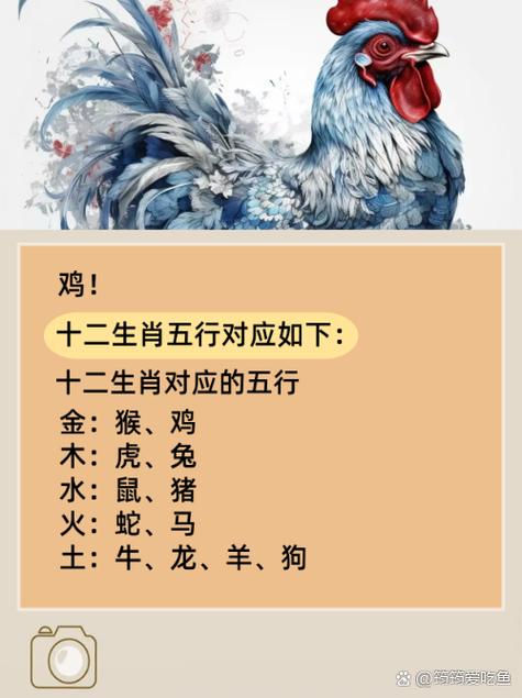 热火朝天是哪个生肖?揭秘生肖背后的含义