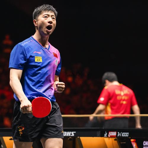 马龙淘汰波尔学什么?老手分享实战经验