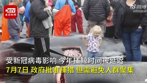 法罗群岛捕杀鲸鱼海豚影响多大?(环保人士指出3大环境危害)
