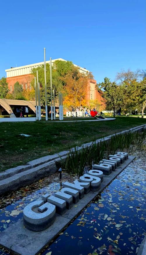 为什么北京林业大学bbs值得关注?校园生活必备交流地