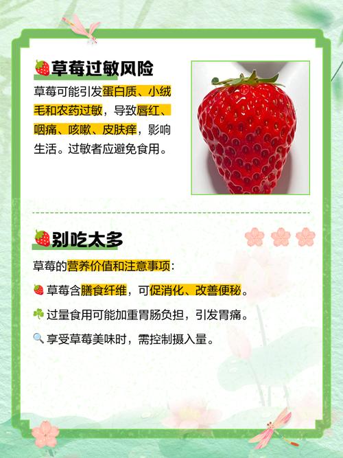 草莓女生日常习惯有哪些？分享养成秘诀与经验！