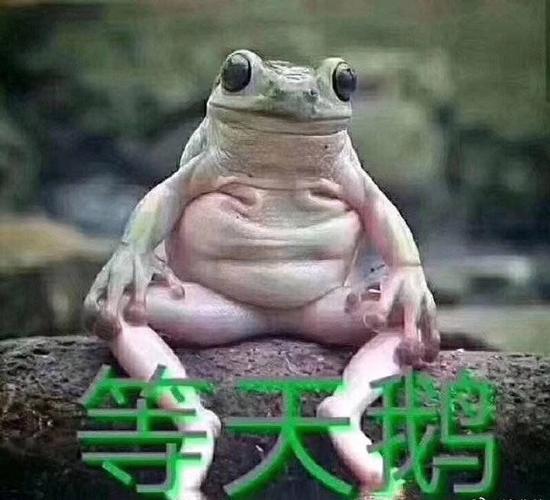 小天鹅bbs哪个频道火？最新热门话题一手抓！