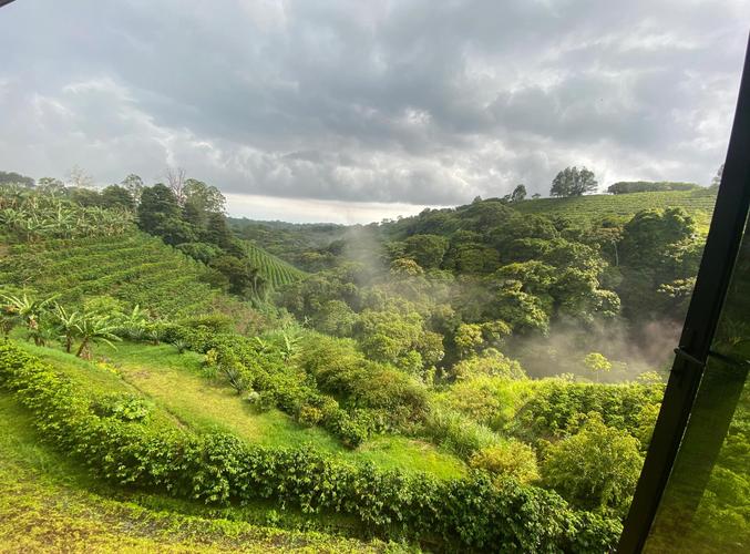 巴西和哥斯达黎加旅游有啥不同?看完这篇不再纠结!