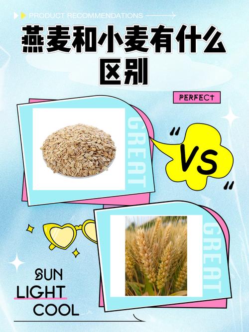mutv和小麦有什么区别？一图看懂这两家区别！