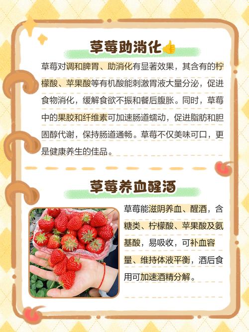 草莓女生日常习惯有哪些？分享养成秘诀与经验！