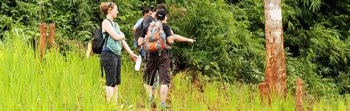 洛洛历险记1下载资源哪里找?安全获取高清版实用步骤指南!