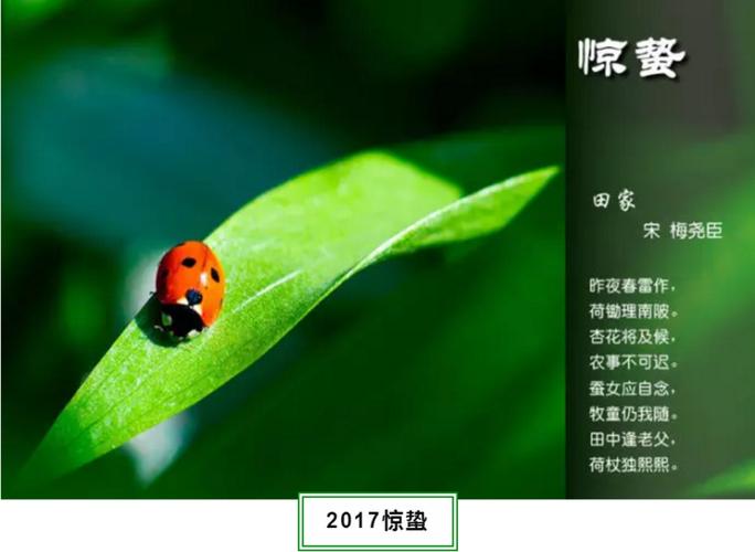 蜗居的评论争议大在哪?两派观点详细对比!