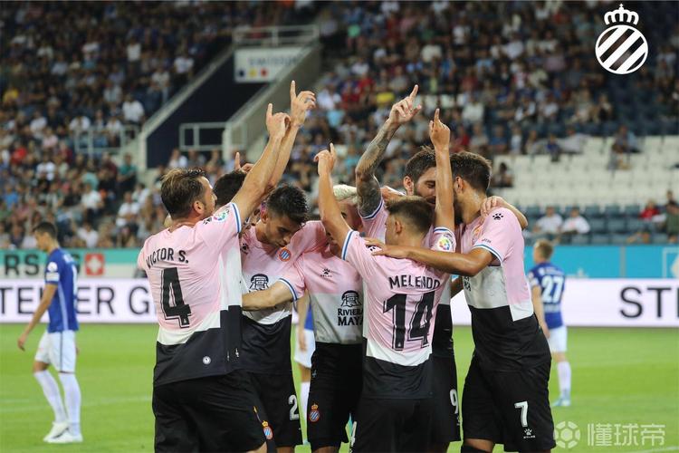 误解达尼-哈尔克真相?专家解析6个常见误区避坑!