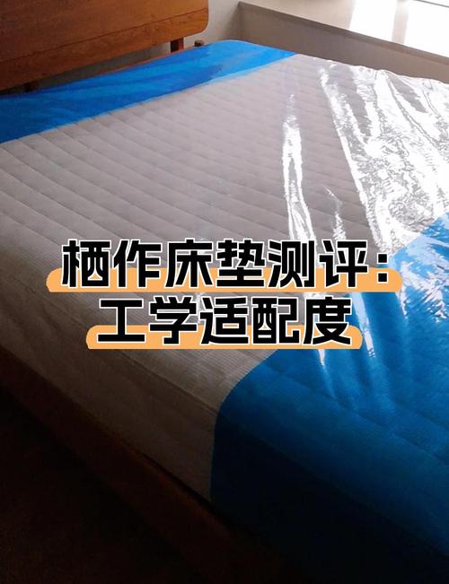 清华毕业当保姆值不值？学历与家政行业适配度解析
