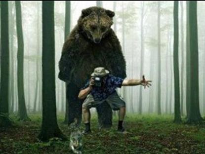 纪录片灰熊人主角被熊袭击音频曝光!完整记录惊魂瞬间始末