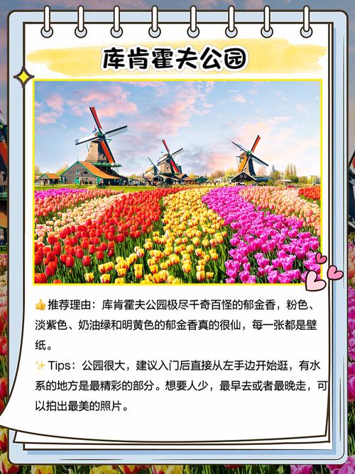 荷兰乌克兰旅游对比哪个更值得去景点攻略