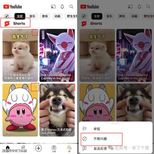 youtube打不开加速办法分享！无需插件稳定访问技巧