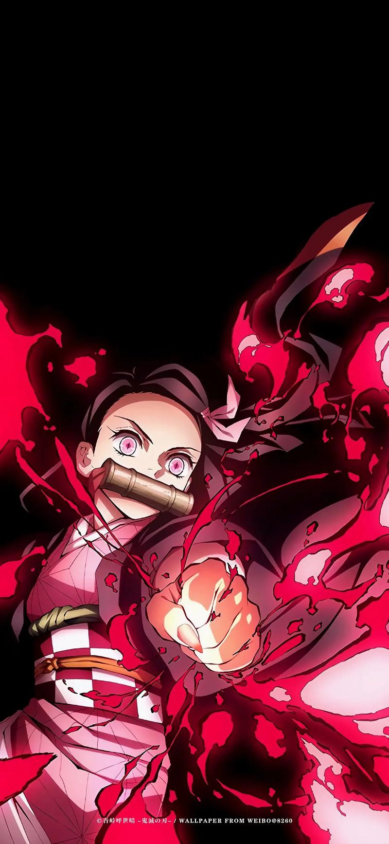 鬼灭之刃204在哪里看?最新资源更新地址速递