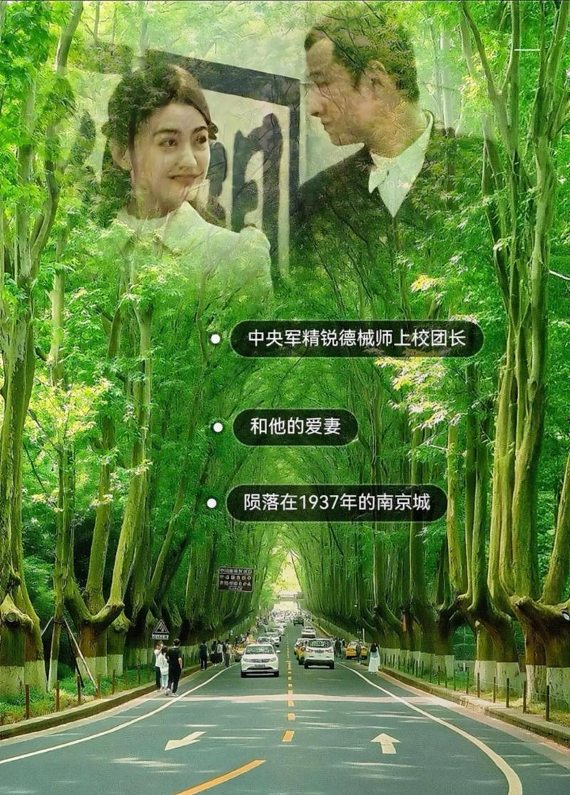 雪豹中的萧雅为什么受欢迎？她的魅力所在解析！