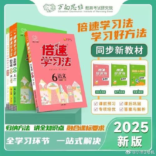 跟王万鹏学习技巧(提升你的能力简单有效)