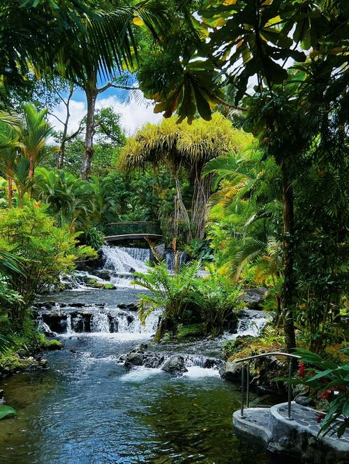 巴西和哥斯达黎加旅游有啥不同?看完这篇不再纠结!