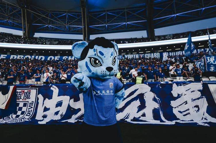 申花治理孙世林怎么看？这次俱乐部处理结果引热议