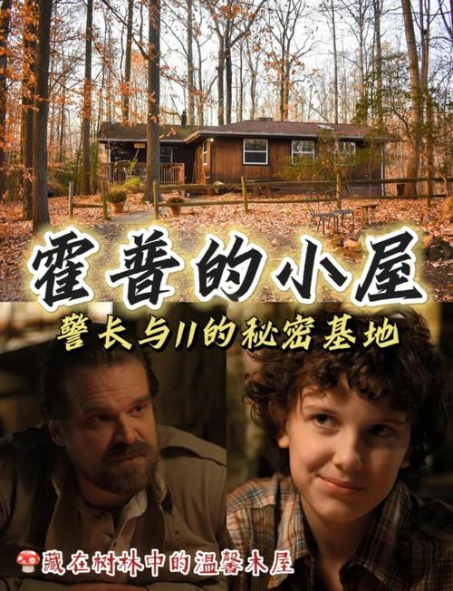 类似林中小屋的电影选择技巧(避坑指南帮你挑对好片!)