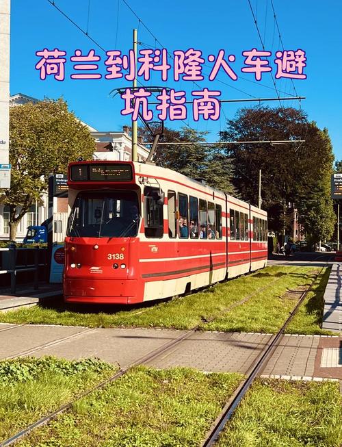 荷兰吧旅游避坑指南？达人亲授10条避雷建议