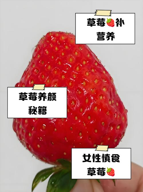 草莓女生日常习惯有哪些？分享养成秘诀与经验！