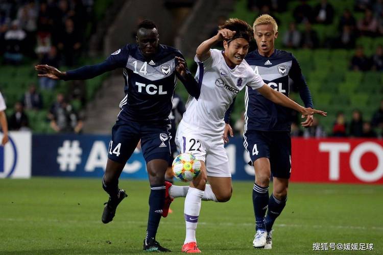 恒大vs中央海岸水手粉丝评论?(赛后热议聚焦)