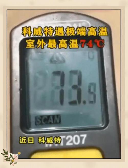 南极北极同时出现极端高温有多严重？专家警告关键信号来了！