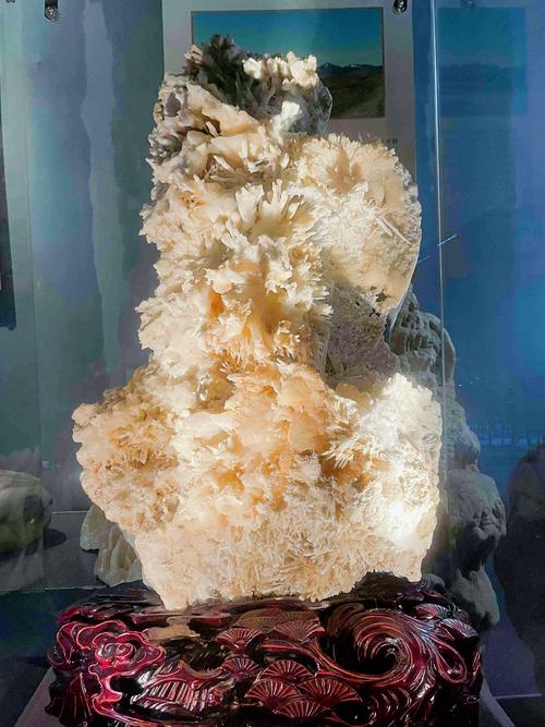 伯纳乌体育场最佳参观时间是什么?季节活动避坑指南!