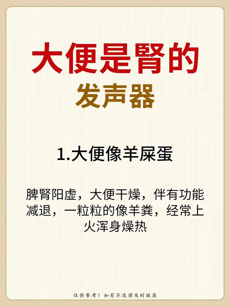 拉屎的声音为什么这么响?揭秘身体发出的奇怪信号