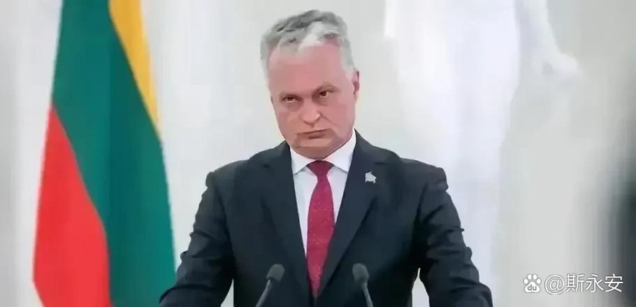 立陶宛总统权力有多大？民众最关注这些事！