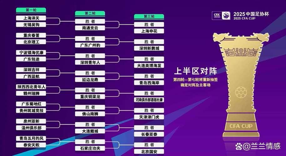 天津泰达足协杯赛程最新动态(下一场对阵谁时间地点)