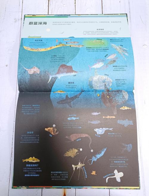 5.5亿年前海底生物有何重要？(改变人类进化史的5个事实)