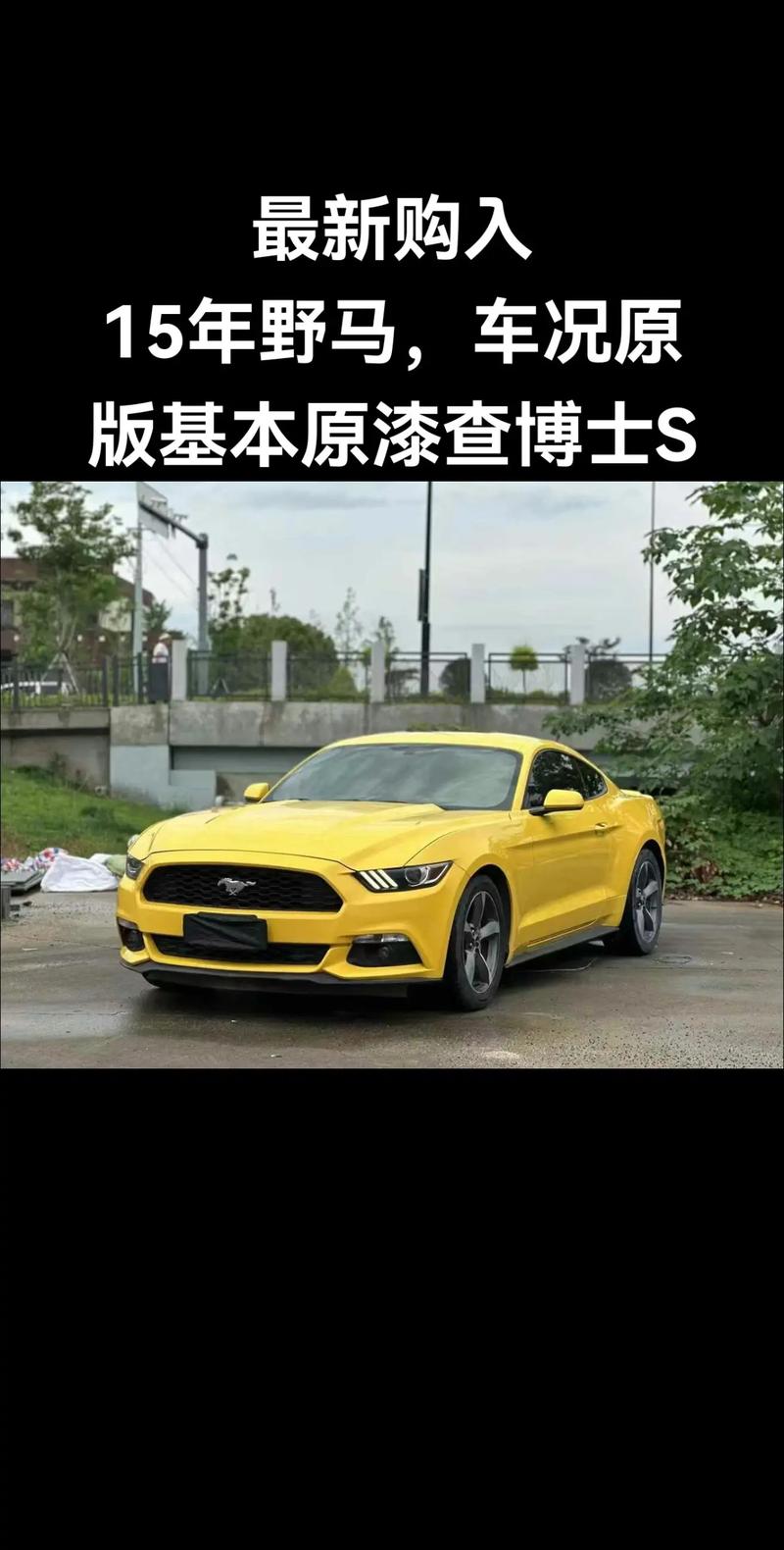 野马怎么样质量可靠吗？老车主爆料真实用车体验