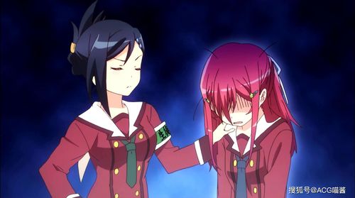 反二次元吧缺点有哪些?用户真实评价大公开!