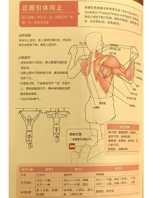 如何打破引体向上世界纪录？(专业训练秘诀大公开)