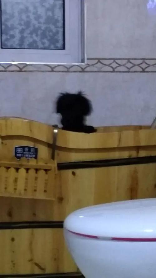 狠狠撸改成什么了？（快速找到好版本的诀窍）