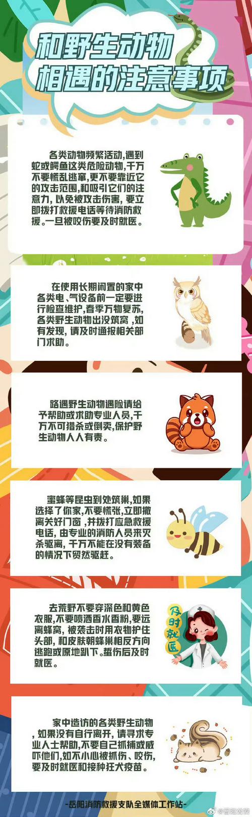 虎子去世带给我们的教训？(日常健康预防小贴士推荐)