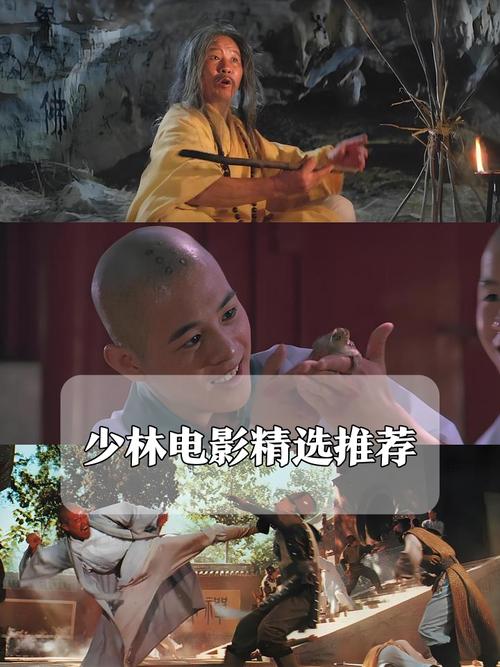 少林修女在哪里看？(在线免费观看平台推荐)