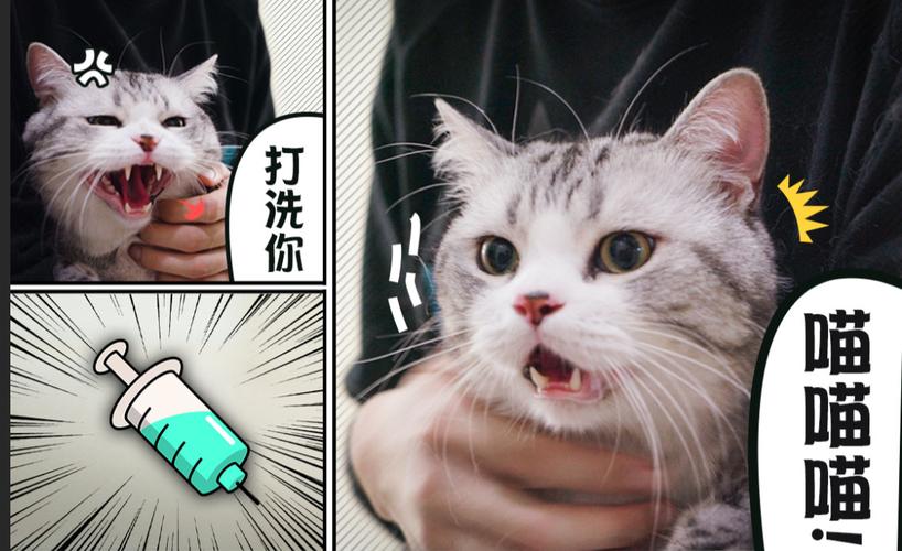 男子戴假手臂打疫苗教训是什么？防范指南实用分享