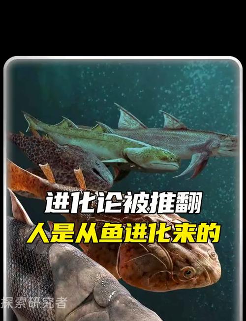 5.5亿年前海底生物有何重要？(改变人类进化史的5个事实)