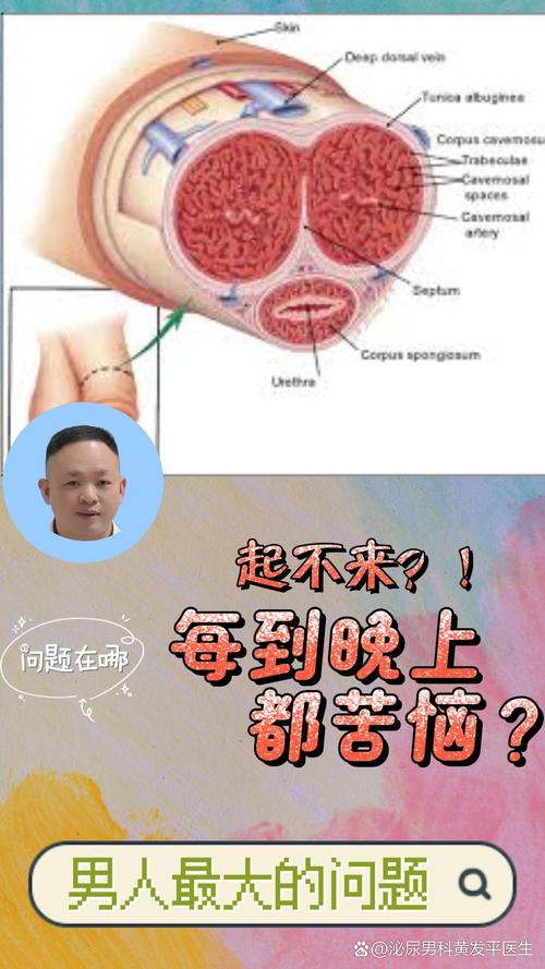 我只吸黑人鸡巴原因是什么？(深度分析来揭晓)