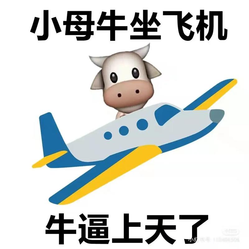 小母牛坐飞机是啥意思？行家教你如何运用到生活中！