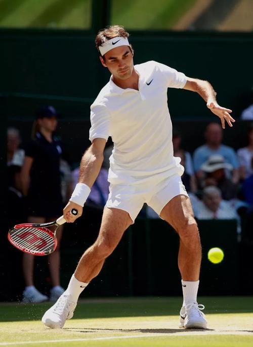 费德勒退役影响网坛格局?专家预测未来三大变化!