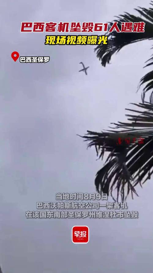 亿万富翁驾飞机坠毁